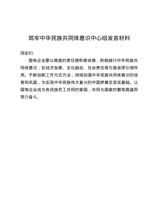 筑牢中华民族共同体意识中心组发言材料.docx