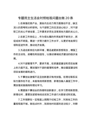 专题民主生活会对照检视问题台账20条.docx