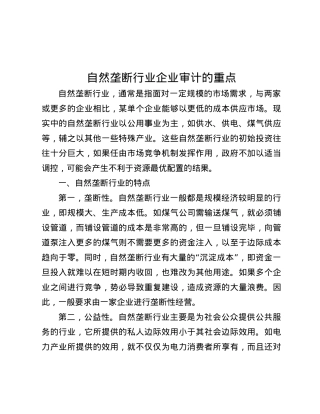 自然垄断行业企业审计的重点.docx