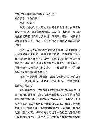 ”两新“民营企业党建共建讲话稿.docx