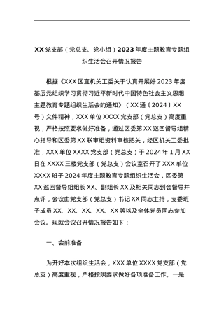XX党支部（党总支、党小组）2023年度主题教育专题组织生活会召开情况报告.docx