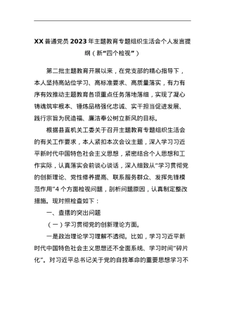 XX普通党员2023年主题教育专题组织生活会个人发言提纲（新“四个检视”）.docx