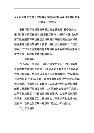 XX社区党总支召开主题教育专题组织生活会和开展民主评议党员工作总结.docx