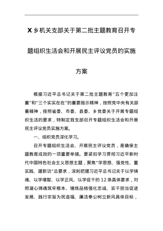X乡机关支部关于第二批主题教育召开专题组织生活会和开展民主评议党员的实施方案.docx