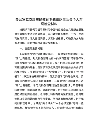 办公室党支部主题教育专题组织生活会个人对照检查材料.docx