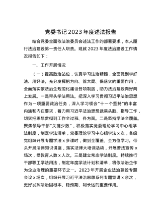 党委书记2023年度述法报告.docx