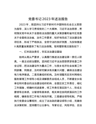 党委书记2023年述法报告.docx