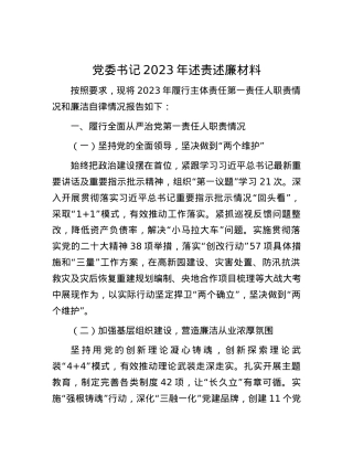 党委书记2023年述责述廉材料.docx