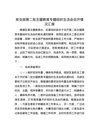 党支部第二批主题教育专题组织生活会召开情况汇报.docx
