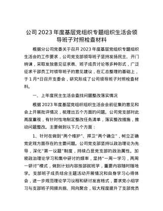 公司2023年度基层党组织专题组织生活会领导班子对照检查材料.docx