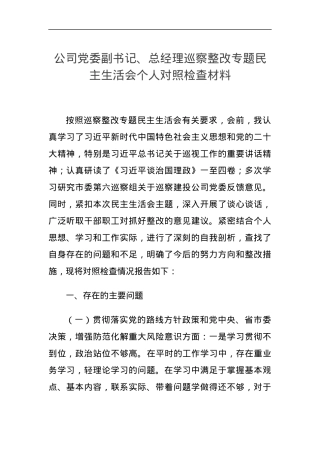 公司党委副书记、总经理巡察整改专题民主生活会个人对照检查材料.docx