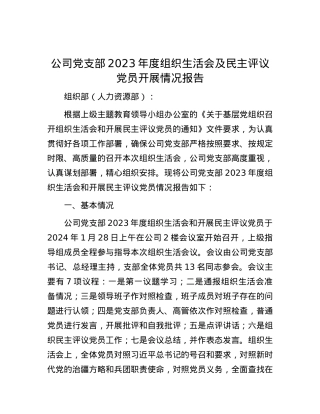 公司党支部2023年度组织生活会及民主评议党员开展情况报告.docx