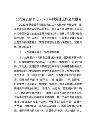 公司党支部书记2023年抓党建工作述职报告.docx