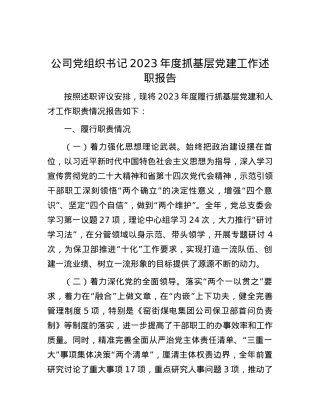 公司党组织书记2023年度抓基层党建工作述职报告.docx