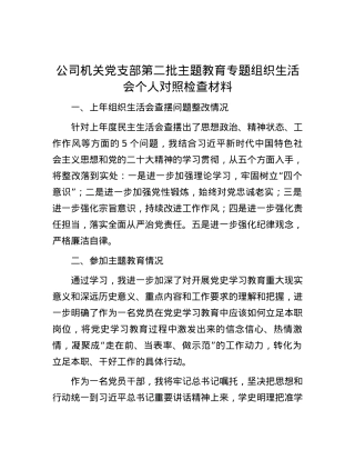 公司机关党支部第二批主题教育专题组织生活会个人对照检查材料.docx