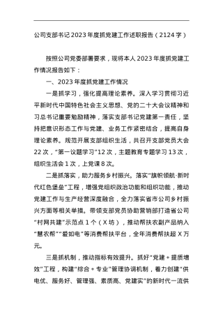 公司支部书记2023年度抓党建工作述职报告.docx