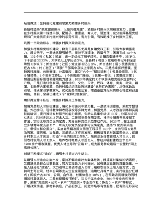 经验做法：坚持强化党建引领聚力助推乡村振兴.docx