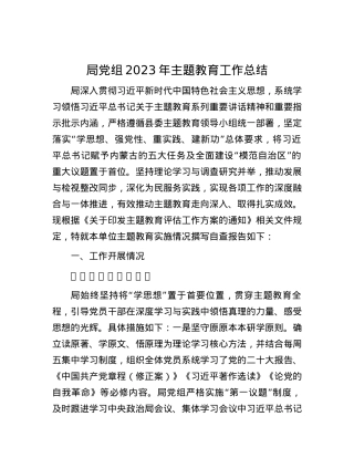 局党组2023年主题教育工作总结.docx
