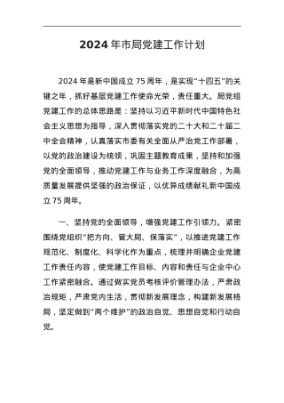 局党组2024年市局抓基层党建工作计划.docx