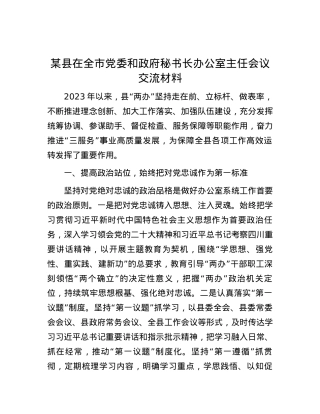 某县在全市党委和政府秘书长办公室主任会议交流材料.docx