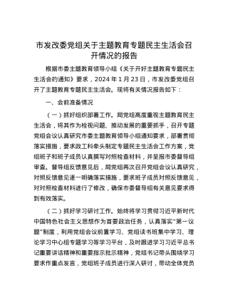 市发改委党组关于主题教育专题民主生活会召开情况的报告.docx