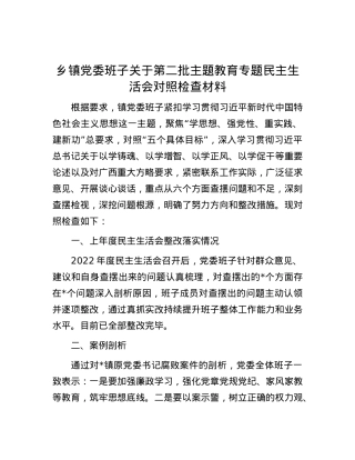 乡镇党委班子关于第二批主题教育专题民主生活会对照检查材料.docx