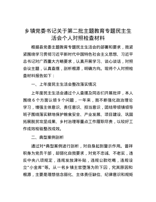 乡镇党委书记关于第二批主题教育专题民主生活会个人对照检查材料.docx