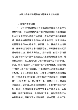 乡镇党委书记主题教育专题民主生活会资料.docx
