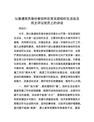 以普通党员身份参加所在党支部组织生活会及民主评议党员上的讲话.docx