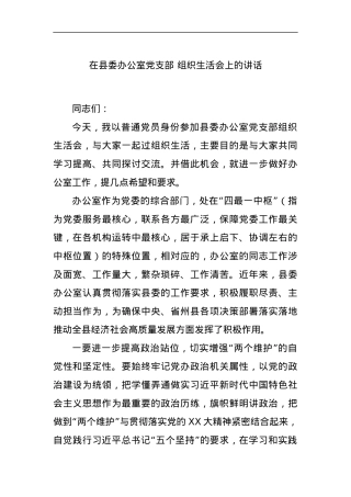 在县委办公室党支部 组织生活会上的讲话.docx