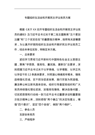 专题组织生活会和开展民主评议党员方案.docx