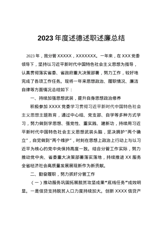 2023年度领导述德述职述廉总结.docx