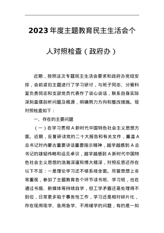2023年度主题教育民主生活会个人对照检查（政府办）.docx