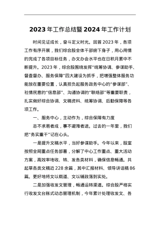 2023年工作总结暨2024年工作计划.docx