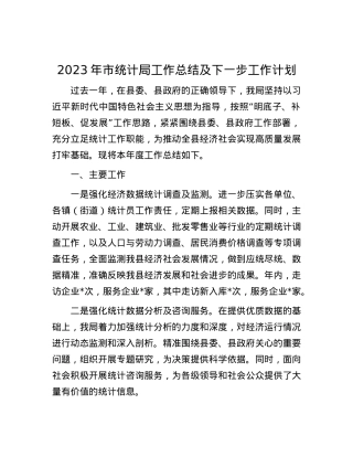 2023年市统计局工作总结及下一步工作计划.docx