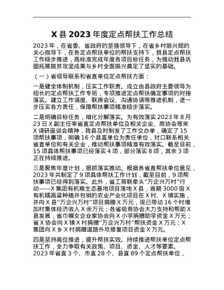 X县2023年度定点帮扶工作总结.docx