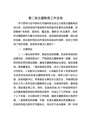 第二批主题教育工作总结.docx