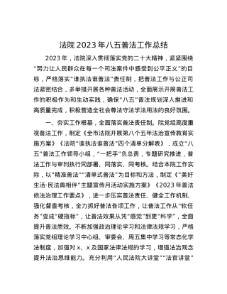 法院2023年八五普法工作总结.docx