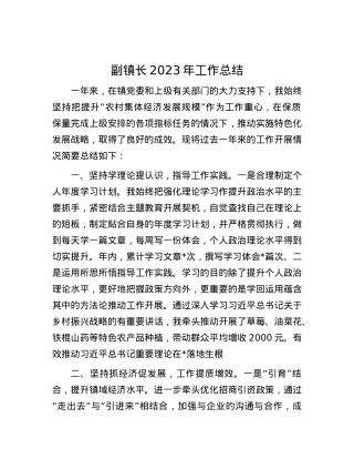 副镇长2023年工作总结.docx