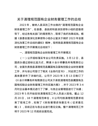 关于清理规范国有企业财务管理工作的总结.docx