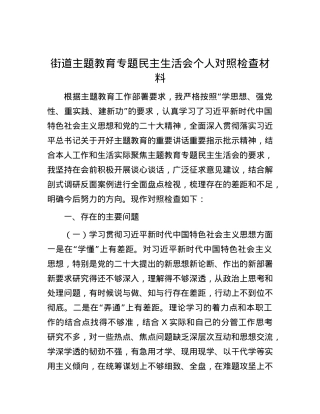 街道主题教育专题民主生活会个人对照检查材料.docx