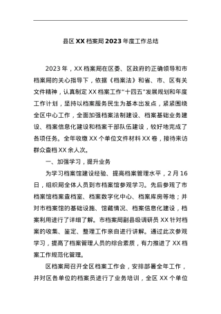 县区XX档案局2023年度工作总结.docx