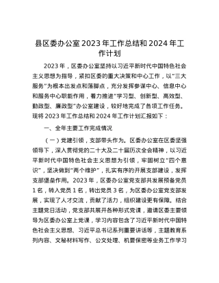县区委办公室2023年工作总结和2024年工作计划.docx