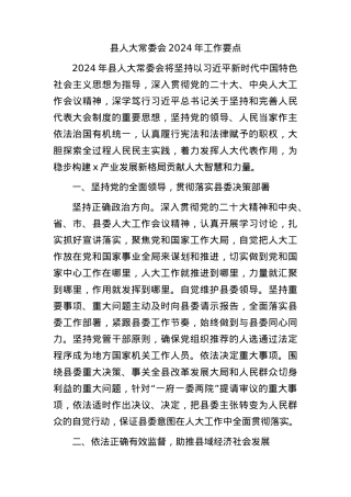 县人大常委会2024年工作要点（计划）.docx