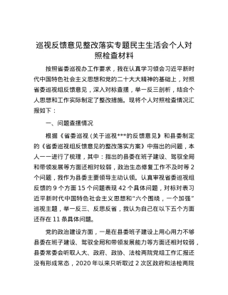 巡视反馈意见整改落实专题民主生活会个人对照检查材料.docx
