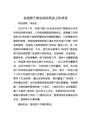 在挂职干部总结动员会上的讲话.docx