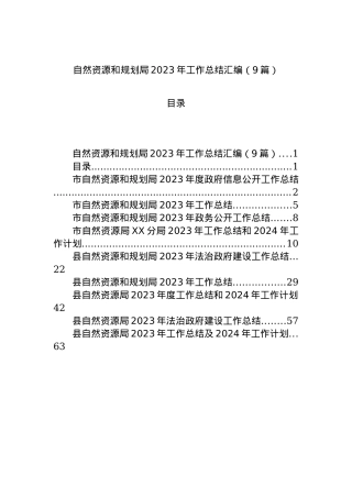 自然资源和规划局2023年工作总结汇编（9篇）.docx