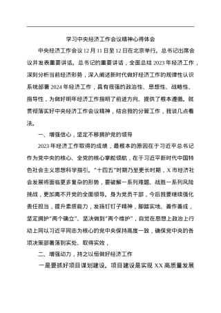 经济工作会议精神心得体会.docx