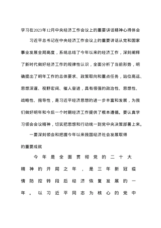 经济工作会议上的重要讲话精神心得体会.docx