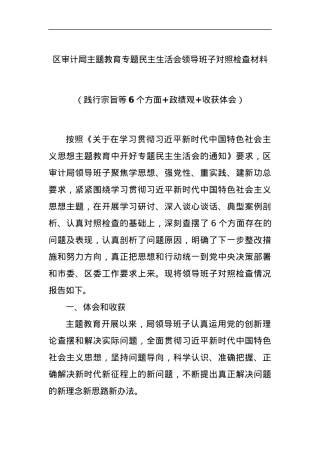 区审计局主题教育专题民主生活会领导班子对照检查材料（践行宗旨等6个方面+政绩观+收获体会）.docx